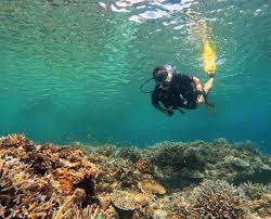 Scuba Diving