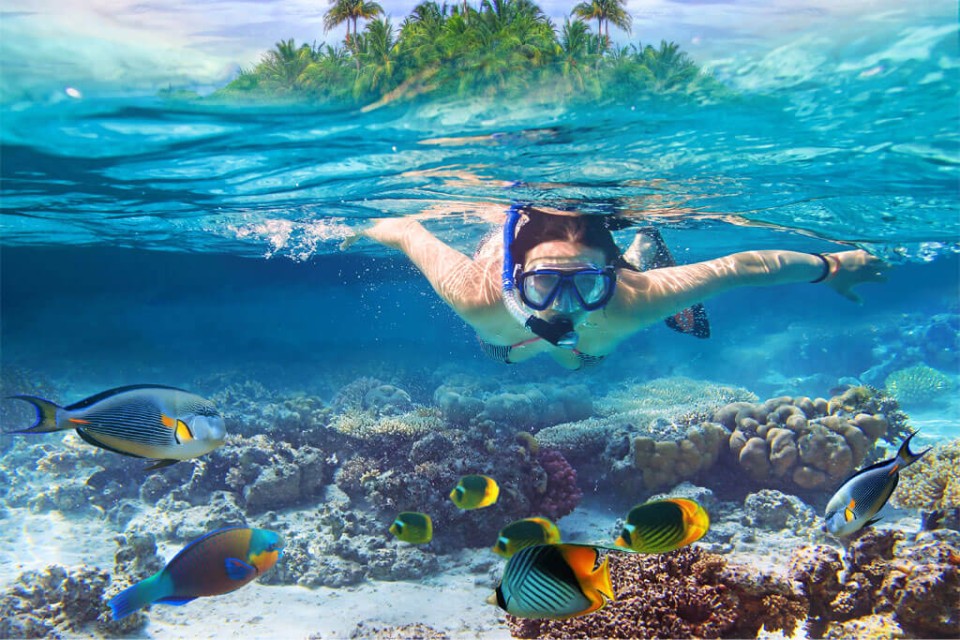 Snorkelling