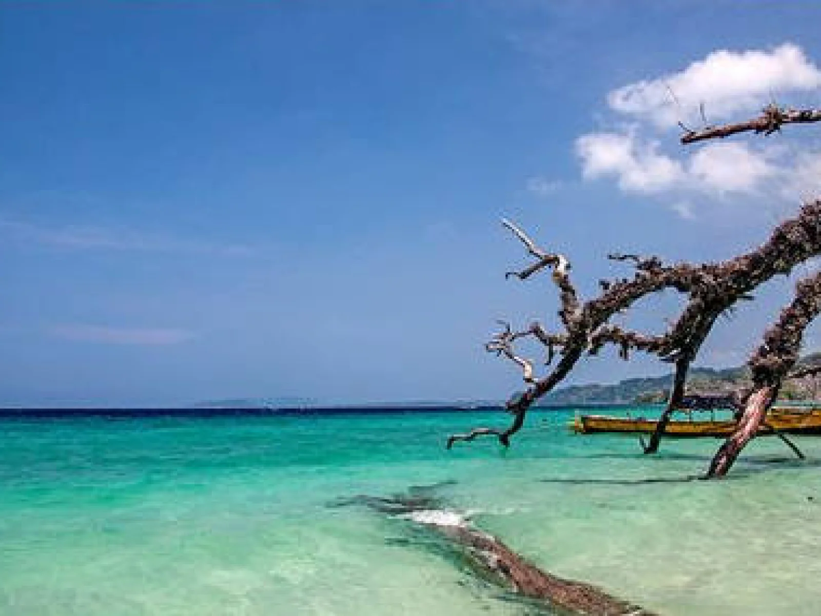 Andaman Delight